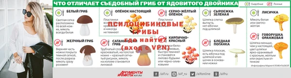 PSILOCYBIN Наволоки