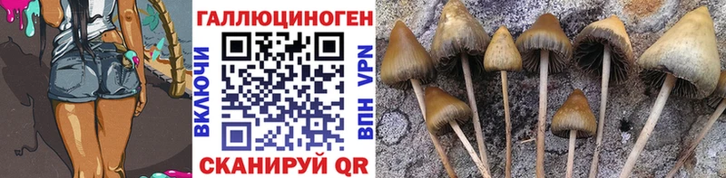 Псилоцибиновые грибы MAGIC MUSHROOMS  продажа наркотиков  Никольск 
